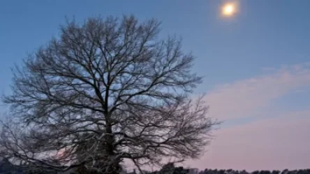 Օդի ջերմաստիճանը կբարձրանա