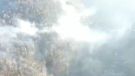 ՏԵՍԱՆՅՈՒԹ. «Վերջնական մարում դեռ չկա». ԱԻՆ-ը` «Ճապկուտ» կոչվող հանդամասում բռնկված հրդեհի մասին