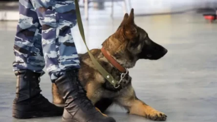 Ռումբի սպառնալիք` Մոսկվայի «Ռեչնոյ» առևտրի կենտրոնում. մոտ 800 մարդ տարհանվել է