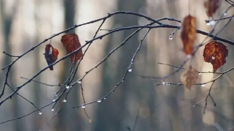 Օդի ջերմաստիճանը փոքր–ինչ կնվազի