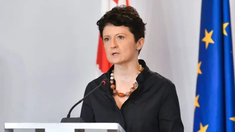 Վրաստանը ռազմական օգնություն չի ցուցաբերի Կիևին. Վրաստանի փոխվարչապետ