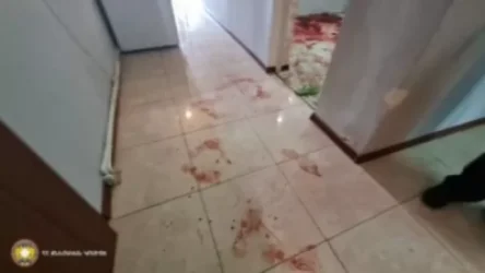 Հոգեբույժի մոտ հաշվառվածը 2 դանակով բազմիցս հարվածել է արտաշատցի կնոջը, ապա կտրել պարանոցը․ ՔԿ-ն մանրամասնում է