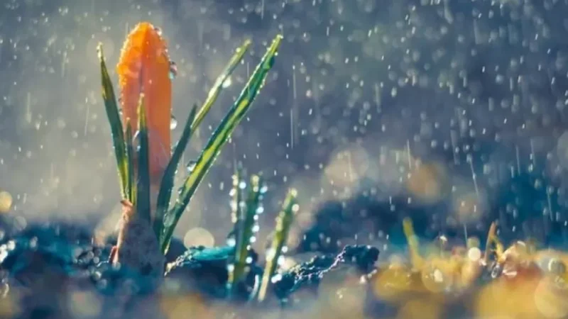 Առաջիկա օրերի եղանակը. տեղումներ կլինեն