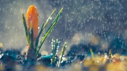 Առաջիկա օրերի եղանակը. տեղումներ կլինեն