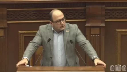 ՏԵՍԱՆՅՈՒԹ. «Եկեք հասկանանք` պրոբլեմները Փաշինյանի, թե՞  Փաշինյանին Հայաստանի գրպանը գցեցին». Մամիջանյան