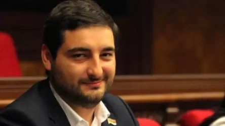 Նիկոլ Փաշինյանի նախկին պատգամավոր եղբորորդին Ուկրաինայում «փայտի բիզնես» է սկսել. Հետք