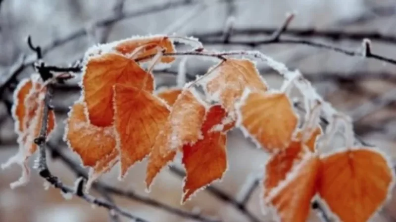 Ի՞նչ եղանակ է սպասվում առաջիկա օրերին