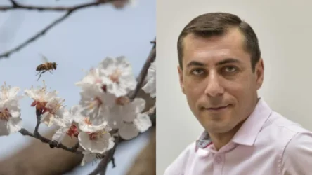 Գագիկ Սուրենյանը՝ եղանակի մասին