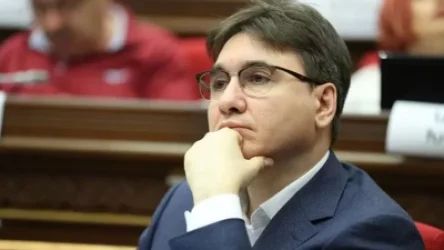 Սա միայն մարդու իրավունքների հարց չէ, այլ պետականորեն իրականացվող էթնիկ զտումների քաղաքականություն. Արմեն Գևորգյանը` ԵԽԽՎ-ում