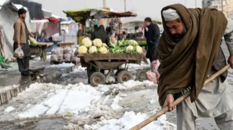 Unprecedented Cold Claims Lives of Over 160 People and Kills 70,000 Domesticated Animals in Afghanistan