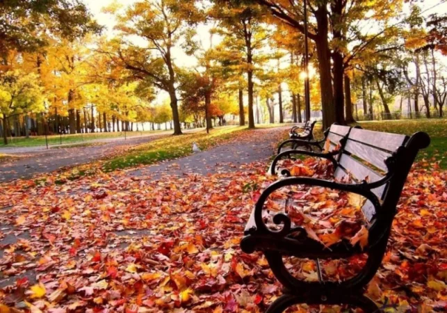 Սպասվում է առանց տեղումների եղանակ