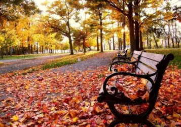 Սպասվում է առանց տեղումների եղանակ