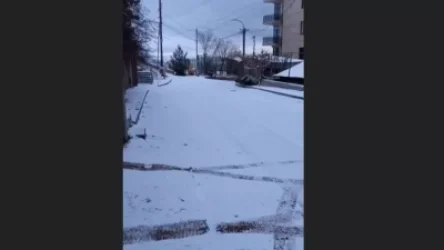 ՏԵՍԱՆՅՈՒԹ. Կենտրոնական երկու փողոց մաքրել եք ու վե՞րջ, սենց չի կարելի. Անուշ Հարությունյան