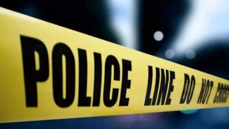 Դի է հայտնաբերվել