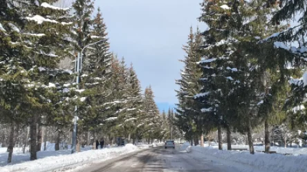 ԼՈՒՍԱՆԿԱՐՆԵՐ. «Ֆանտաստիկ եղանակ է, հնարավորության դեպքում անպայման այցելեք». Արշակյանը` հանրությանը