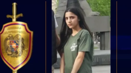 ՏԵՍԱՆՅՈՒԹ․ 15-ամյա աղջիկը որոնվում է որպես անհետ կորած