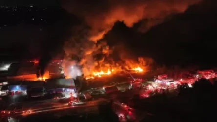 ՏԵՍԱՆՅՈՒԹ․ «Անհայտ կորած». ԱՄՆ-ում Բայդենին մեղադրել են