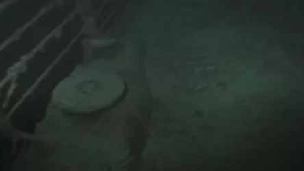 ՏԵՍԱՆՅՈՒԹ. BBC-ին հրապարակել է խորտակված «Տիտանիկ» նավի մնացորդներից  չցուցադրված կադրեր