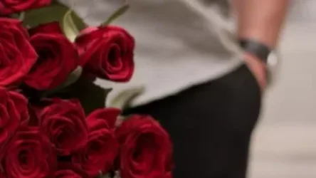 Երևանում ծաղկի գող կա՞. կոտրել են խանութի ապակիները