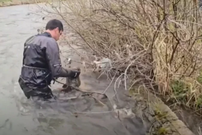 2-ամյա երեխային դեռ փնտրում են. մանրամասներ