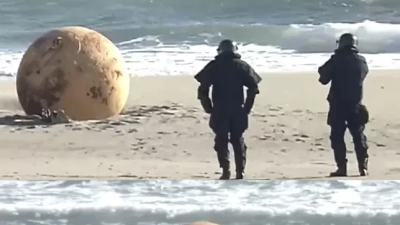 Ուսումնասիրվել է ճապոնական ափում հայտնված մետաղե գնդակը. ինչ է հայտնի