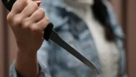 Սահմռկեցուցիչ դեպք` Երևանում. փեսան հարվածել է, իսկ դուստրը դանակով խփել է հոր մեջքին