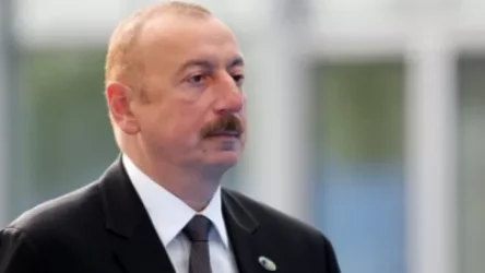 Ալիևը միջազգային ճնշումների տակ կվարկաբեկվի. ԵԽ պատգամավոր