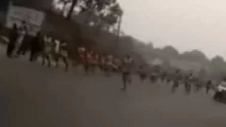 ՏԵՍԱՆՅՈՒԹ. Ինչպես է պայթում ռումբը Կամերունում վազքի մարաթոնի ժամանակ