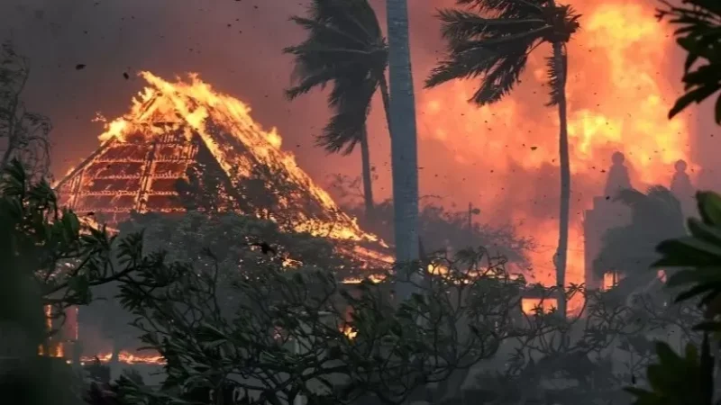 Video: Impactful Footage from Hawaii, USA; Death Toll Reaches 53