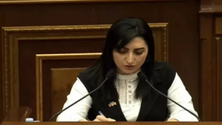 ՏԵՍԱՆՅՈՒԹ․ ՀՀ-ում բռնության դեպքերը շատ են, թվերը ճիշտ չեն բարձրաձայնվում․ Թագուհի Թովմասյան