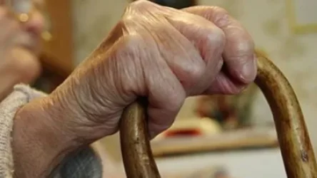 Կողբում  21-ամյա երիտասարդը մարմնական վնասվածքներ է պատճառել 94-ամյա կնոջը