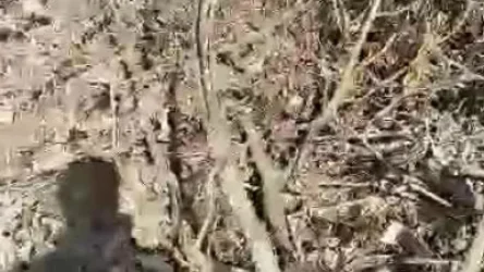 ՏԵՍԱՆՅՈՒԹ. Ադրբեջանը խախտել է հրադադարի ռեժիմը Արցախի Մարտունու շրջանում. Инфотека 24