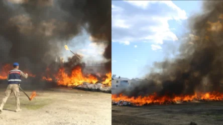 Թուրքիայում 25 հազար բնակչության թունավորմանը պատճառը հայտնի է. նոր մանրամասներ