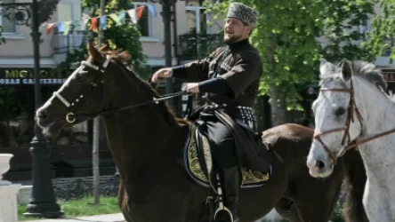 «Խնդրում եմ, որ չնսեմացնեք իմ ձիու արժեքը». Կադիրովն ասել է ձիու իրական գինը