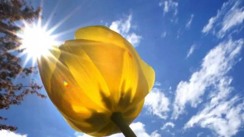 Առաջիկա օրերի եղանակը՝ ՀՀ տարածքում