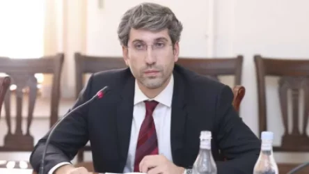 «Եթե մարդը կատարել է հանցագործություն, ինքը պատժվելու է մեր երկրում». Գրիգոր Մինասյան