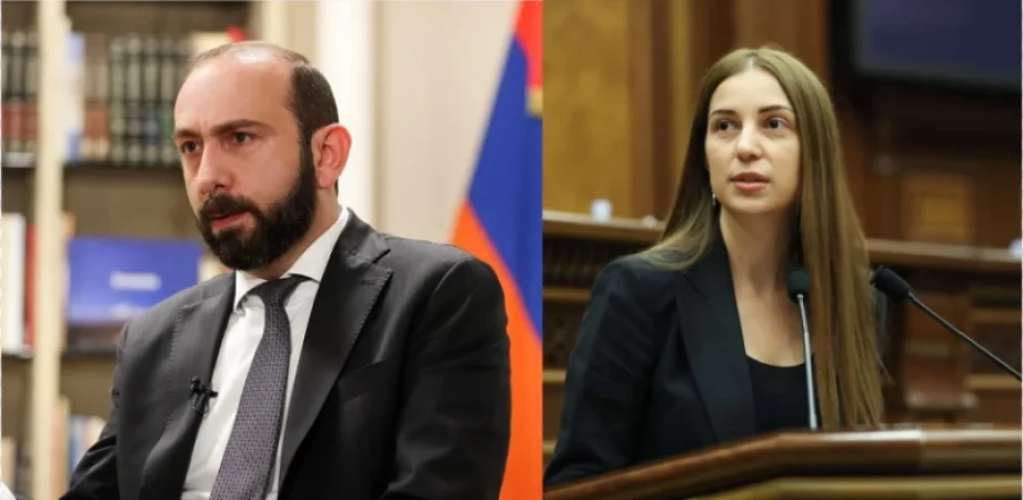 «Եռանդուն ջանքերով առաջարկի «հերն անիծեցիք»». Միրզոյանը՝ Աննա Գրիգորյանին