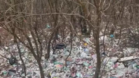 ՏԵՍԱՆՅՈՒԹ․ Աղբակույտի վերածված հատված՝ Վանաձորից դուրս եկող ճանապարհին