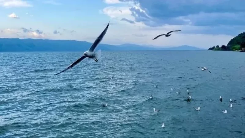 Սևանա լճի մակարդակը բարձրացել է 2սմ-ով