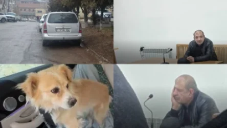 Մեքենայից շունիկին քարշ տված վարորդը տուգանվեց 900․000 դրամ