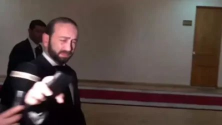 ՏԵՍԱՆՅՈՒԹ․ «Էդ լույսը խանգարում ա ինձ»․ Միրզոյանը՝ լրագրողներին