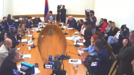 ՏԵՍԱՆՅՈՒԹ․ «Ես ՀՀ ԱԳ նախարարի պաշտոնը չեմ օկուպացնում, զբաղեցնում եմ»․ վեճ՝ Միրզոյանի և Կրպեյանի միջև