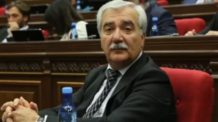 ՏԵՍԱՆՅՈՒԹ. Այս նախաձեռնությունը ավելի շատ խնդիրներ է առաջացնում, քան տալիս է լուծումներ. Անդրանիկ Քոչարյան