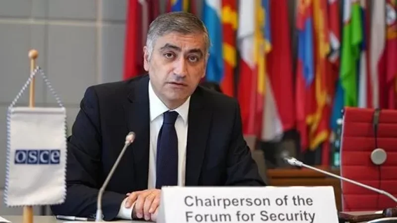 Ալիևի ռազմատենչ հռետորաբանությունը միտված է խաթարելու կայունության ջանքերը և դիմելու լայնածավալ ուժի կիրառման․ Պապիկյան