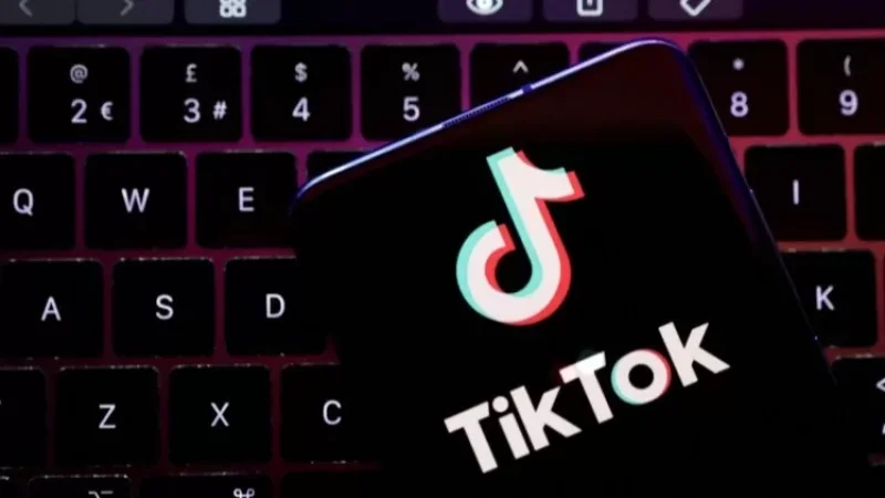 «Չենք ուզում, որ մեր աշխատանքային սարքավորումների մեջ TikTok լինի»․ Շվեդիայի ԶՈւ
