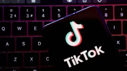 «Չենք ուզում, որ մեր աշխատանքային սարքավորումների մեջ TikTok լինի»․ Շվեդիայի ԶՈւ