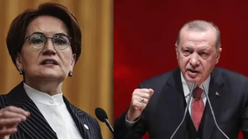 «Երիցուկով թեյ խմեք կհանգստանաք». Էրդողանի ու ընդդիմադիր պաշտոնյայի վեճը