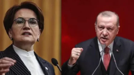 «Երիցուկով թեյ խմեք կհանգստանաք». Էրդողանի ու ընդդիմադիր պաշտոնյայի վեճը