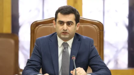 «ՌԴ-ից հնչող մտահոգությունները լսել ենք». ԱԺ փոխնախագահը՝ Հռոմի կանոնադրության հետ կապված հետագա ընթացքի մասին