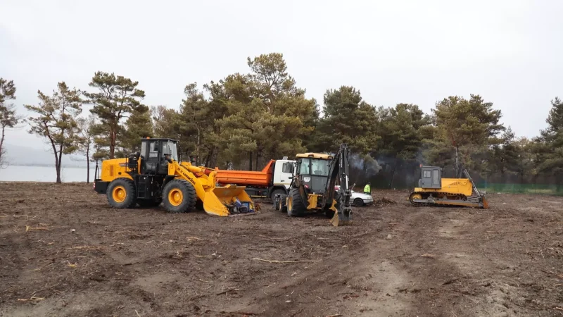 Ո՞ր օրեսնդրության համաձայն եք անտառը գենոցիդի ենթարկել. օգատերը ահազանգում է